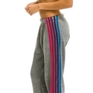 Aviator Nation Gray 5 stripe Joggers